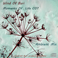 Wind Of Buri - Moments Of Life, Vol. 037: Ambient Mix (CD 1)