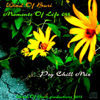 Wind Of Buri - Moments Of Life, Vol. 044: Psy Chill Mix (CD 2)