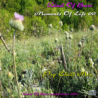 Wind Of Buri - Moments Of Life, Vol. 047: Psy Chill Mix (CD 1)