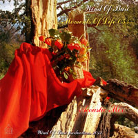 Wind Of Buri - Moments Of Life, Vol. 053: Acoustic Mix (CD 2)