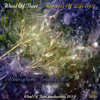 Wind Of Buri - Moments Of Life, Vol. 060: Atmospheric Breaks Mix