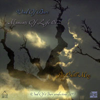 Wind Of Buri - Moments Of Life, Vol. 062: Psy Chill Mix (CD 1)