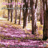 Wind Of Buri - Moments Of Life, Vol. 070: Popular Songs In Chillout Covers (CD 2)