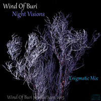 Wind Of Buri - Main Series Mixes (CD 7): Night Visions (Enigmatic Mix)