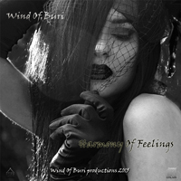 Wind Of Buri - Main Series Mixes (CD 8): Harmony Of Feelings
