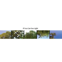 Elise Lebec - If You Can See Light (Single)