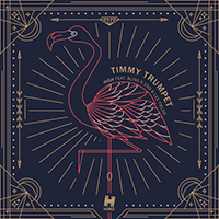 Timmy Trumpet - High (Single)