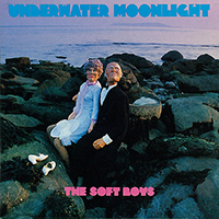 Soft Boys - Underwater Moonlight (Reissue 2001, CD 2: ...And How It Got There)