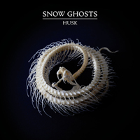 Snow Ghosts - Husk (Ep)