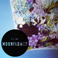 Plini - Moonflower (Single)