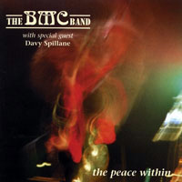 Spillane, Davy - Davy Spillane & Barry McCabbe Band - The Peace Within
