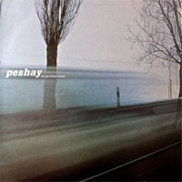 DJ Peshay - Miles From Home (12'' Single)