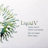 DJ Peshay - Liquid V (12'' Single I)