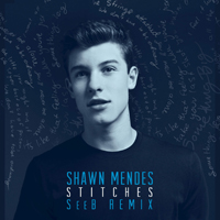 Mendes, Shawn - Stitches (Seeb Remix) (Single)
