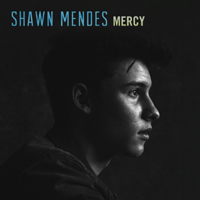 Mendes, Shawn - Mercy (acoustic guitar) (Single)