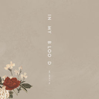 Mendes, Shawn - In My Blood (acoustic) (Single)