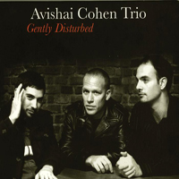 Avishai Cohen Ensemble - Gently Disturbed