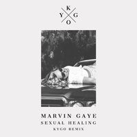 Kygo - Sexual Healing (Kygo Remix) (Single)