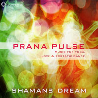 Shaman's Dream - Prana Pulse