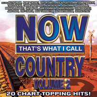 Now That's What I Call Music! (CD Series) - Now That's What I Call Country, Volume 2