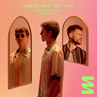 Lost Frequencies - Where Are You Now (feat. Calum Scott) (Single)