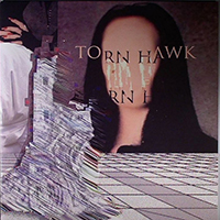 Torn Hawk - We Burnt Time / Throb & Ruin (Single)