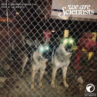We Are Scientists - Something About You (Single)