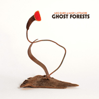 Baird, Meg  - Ghost Forests