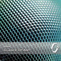 Vasim - Glance of Ant