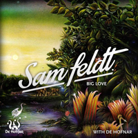 Feldt, Sam - Big Love (Sam Feldt Remix) [Single]