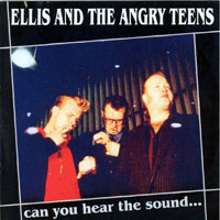 Ellis and the Angry Teens - Can You Hear the Sound