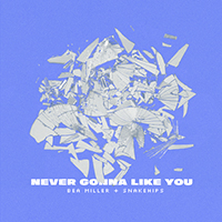 Bea Miller - Never Gonna Like You (Single)