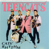 Teencats - Cat's Rhythm (LP)