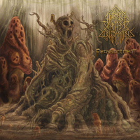 Harvest The Infection - Reassortment