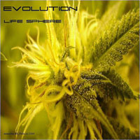 RR Feela - Life Sphere: Evolution - Mixed by RR Feela (CD 1)