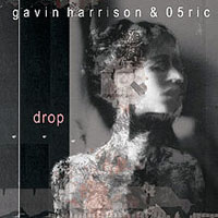 Harrison, Gavin - Drop