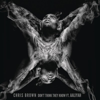 Chris Brown (USA, VA) - Don't Think They Know (Feat. Aaliyah) (Single)