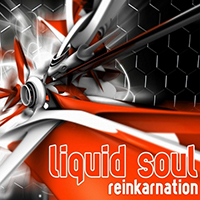 Liquid Soul - Reinkarnation (EP)