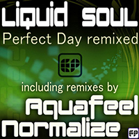 Liquid Soul - Perfect Day Remixed (EP)