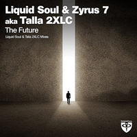 Liquid Soul - The Future (Remixes) [EP]
