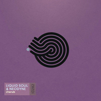 Liquid Soul - Cherub [Single]