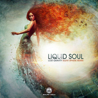 Liquid Soul - Lost Gravity (Silent Sphere Remix) [Single]
