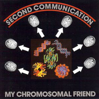 2nd Communication - My Chromosomal Friend