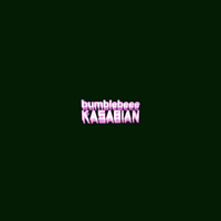 Kasabian - Bumblebeee (10'' Single)