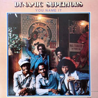 Dynamic Superiors - You Name It (LP)