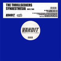 The Thrillseekers - Synaesthesia (12'' Single)