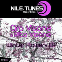 Ciro Visone - Ciro Visone & Rita Visone - Winter flowers (EP)