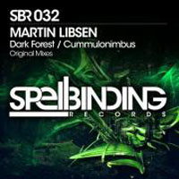 Martin Libsen - Dark forest / Cummulonimbus (Single)