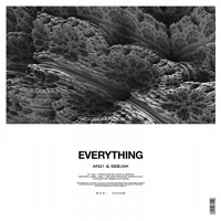 AN21 - Everything (Split)