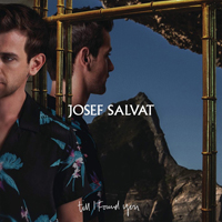 Salvat, Josef - Till I Found You